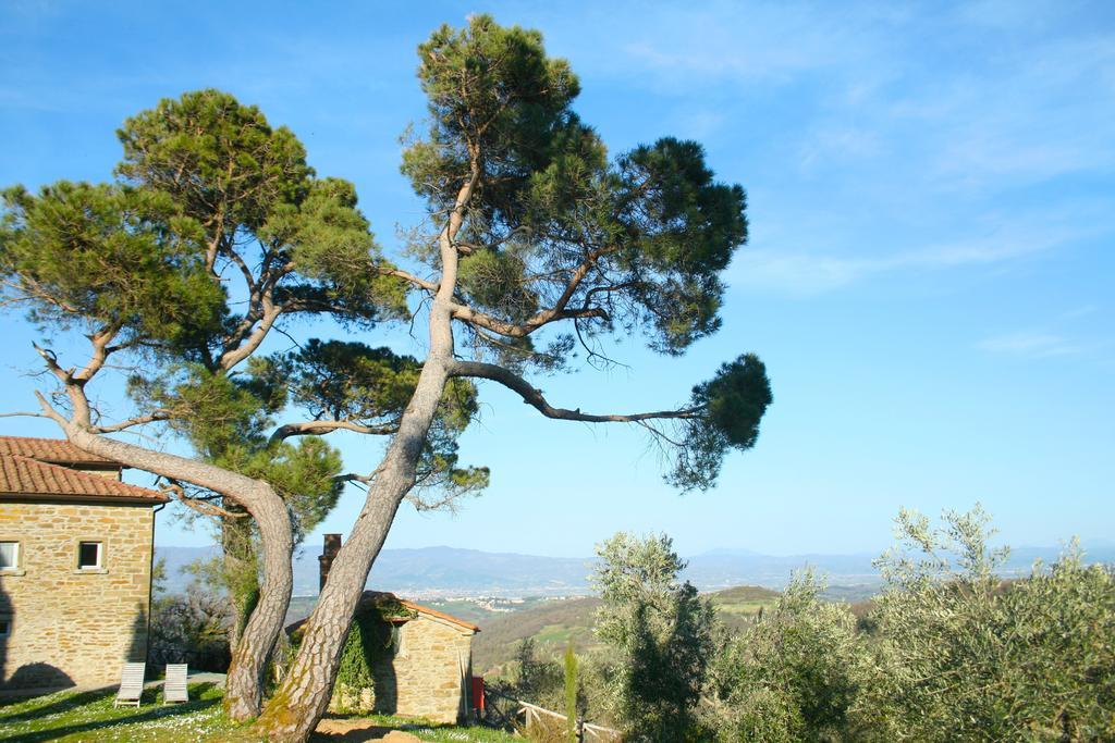 Relais Il Pozzeto Bed & Breakfast Anghiari Exterior photo