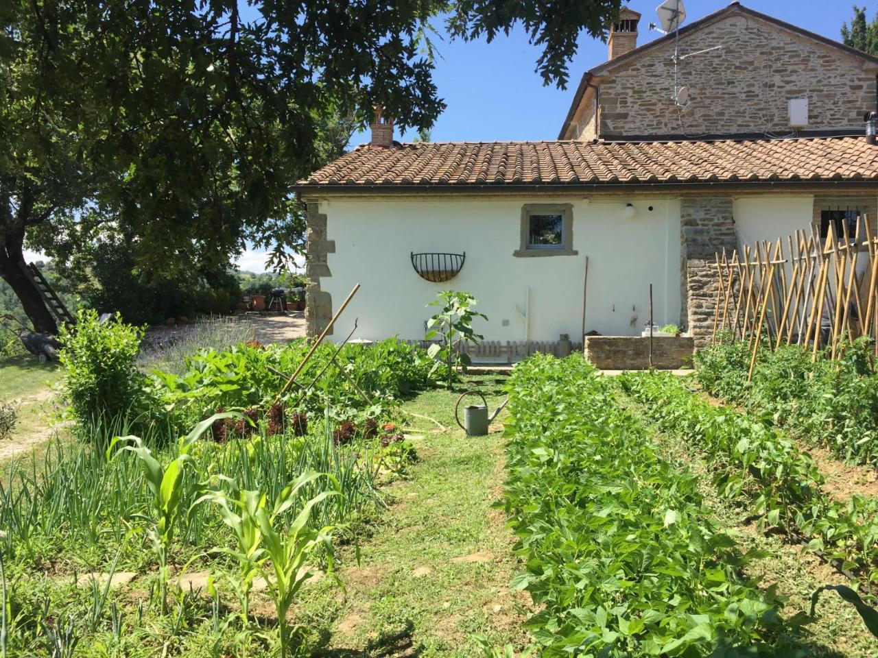 Relais Il Pozzeto Bed & Breakfast Anghiari Exterior photo
